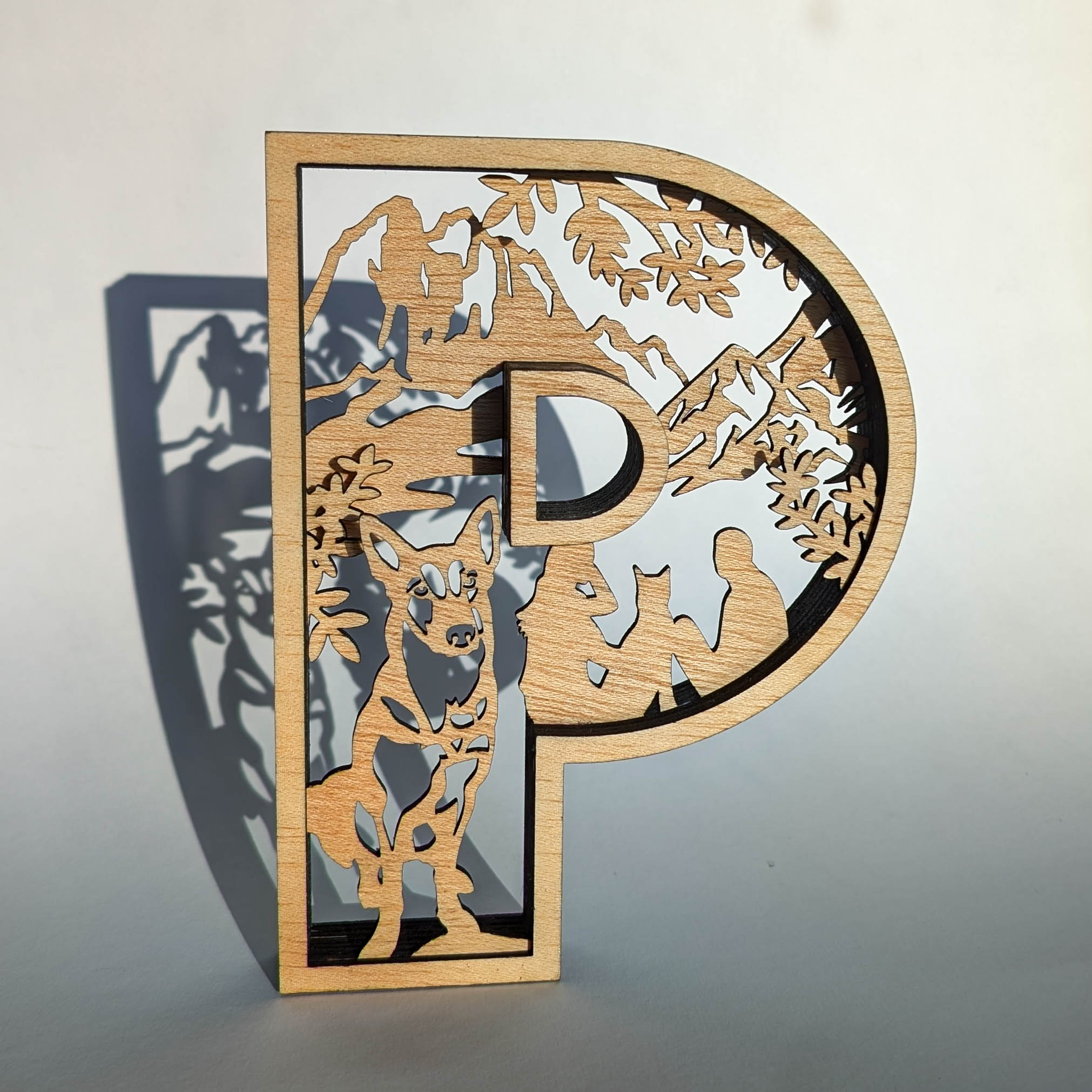 PXL_20250423_061244420.MP Letra P personalizada + pareja + perro + montaña - Imagen 1